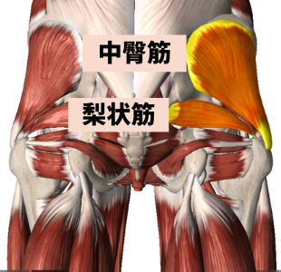 腰痛は臀部への施術が効果的