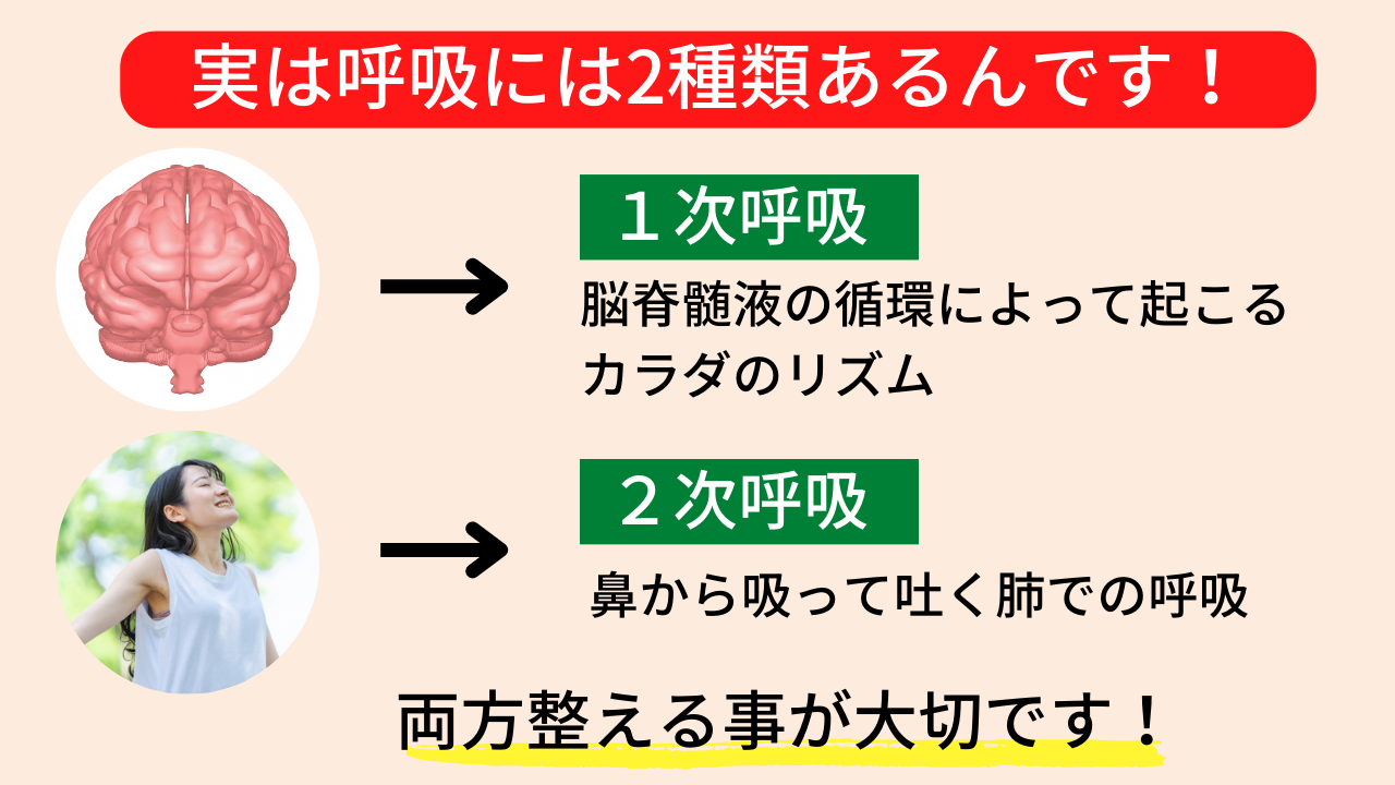 2種類の呼吸を正す事が大切です!