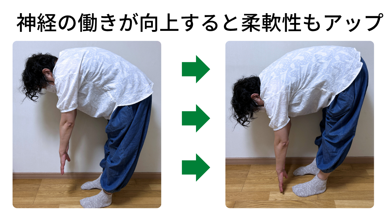 神経の働きが向上すればカラダの柔軟性もアップします。慢性的な腰痛も改善され、デスクワーク、育児が楽になります!