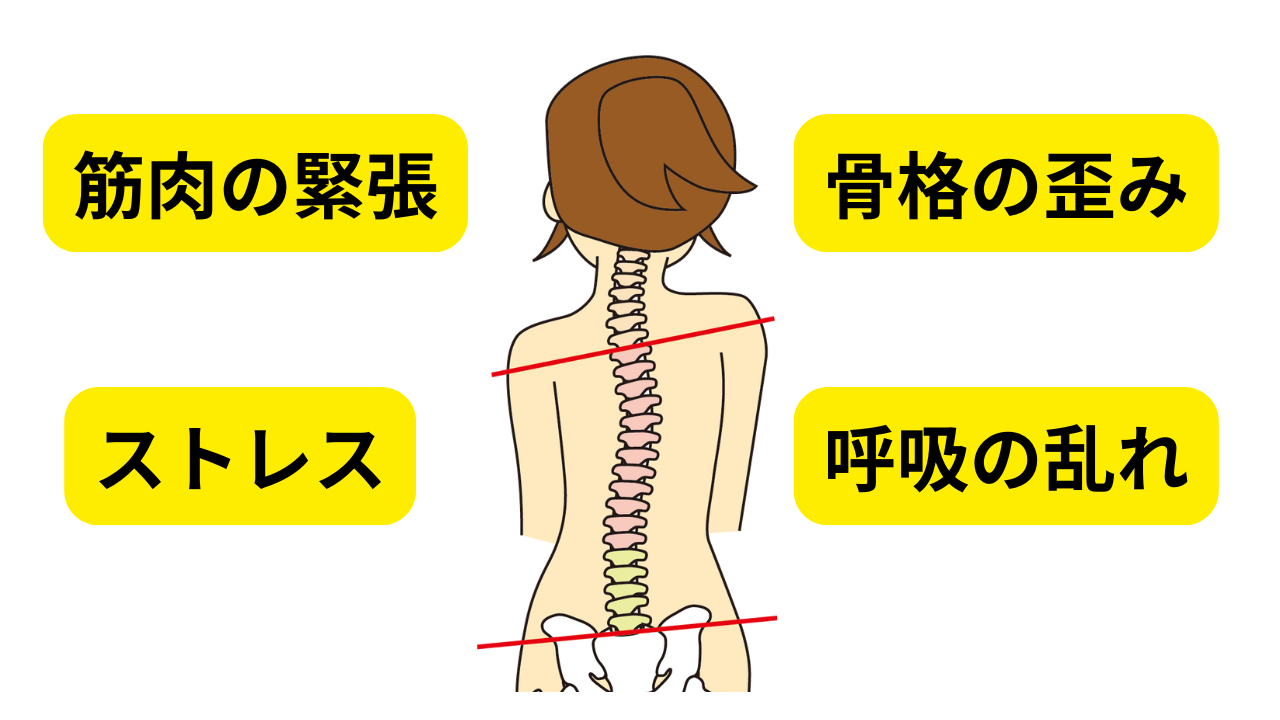 カラダの歪みは筋肉、骨格、神経、姿勢、呼吸など様々な所で起こります！